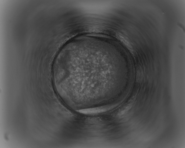 X0000095670673200801221205