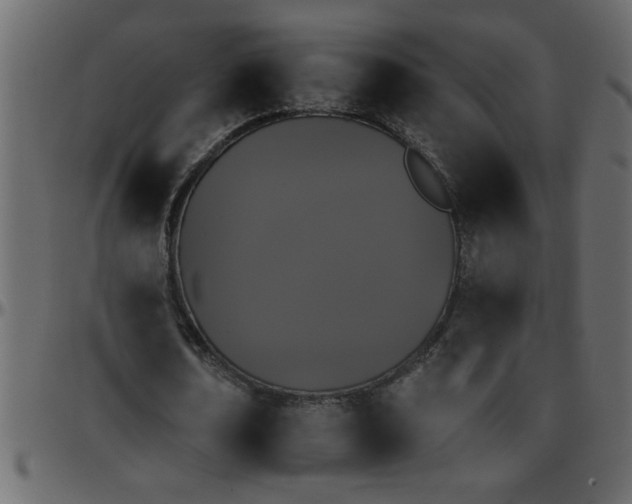 X0000095670674200801221205