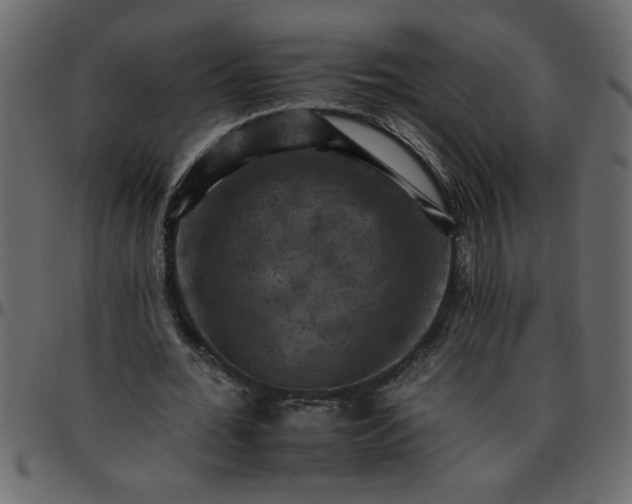 X0000095670676200801221205