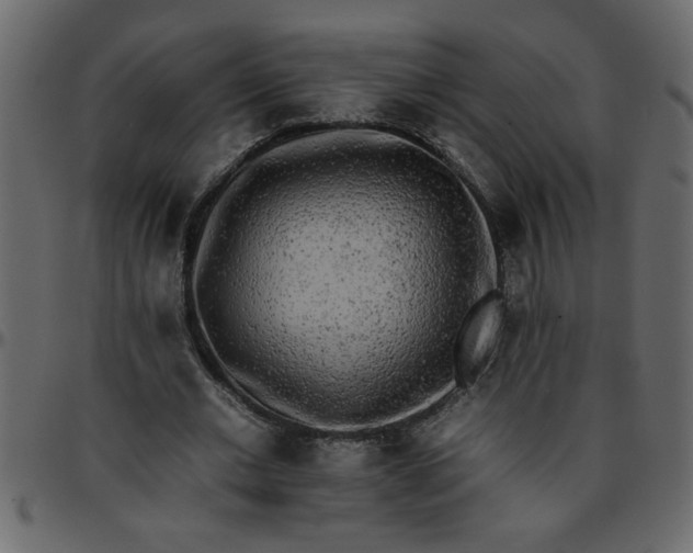 X0000095670677200801221205