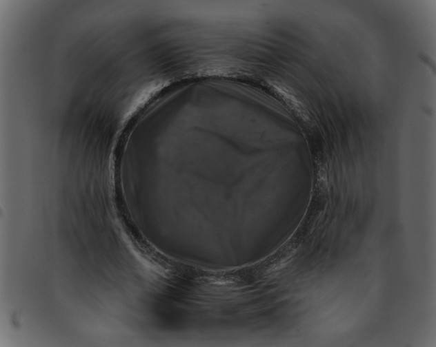 X0000095670678200801221205