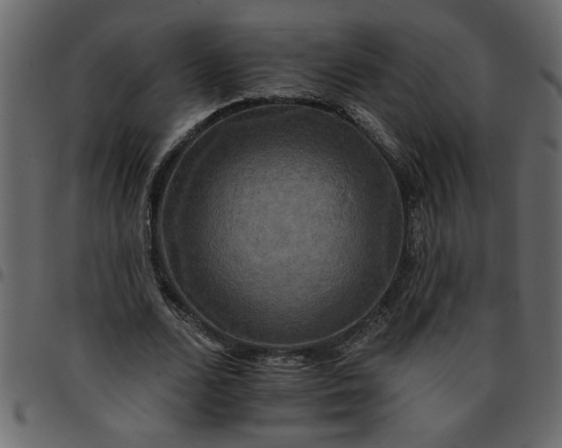 X0000095670680200801221205