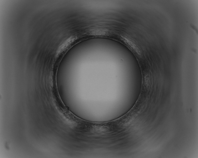 X0000095670682200801221205