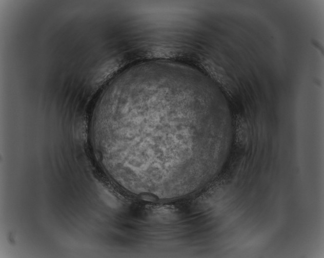 X0000095670683200801221205