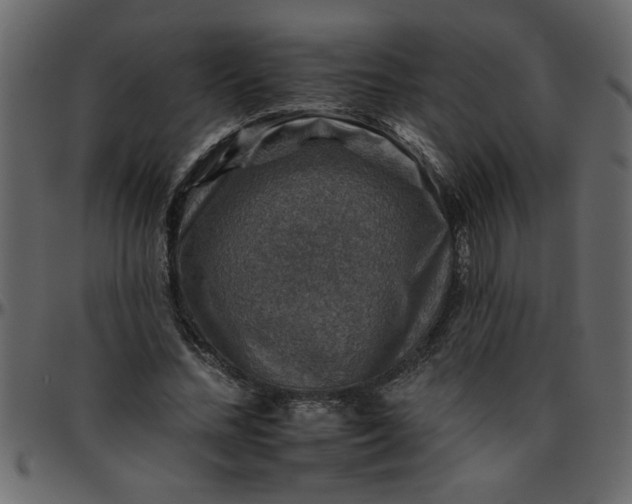 X0000095670684200801221205