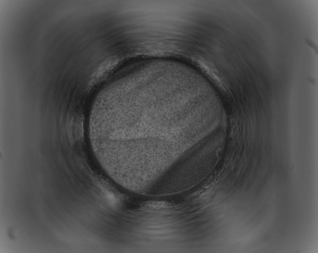 X0000095670685200801221205