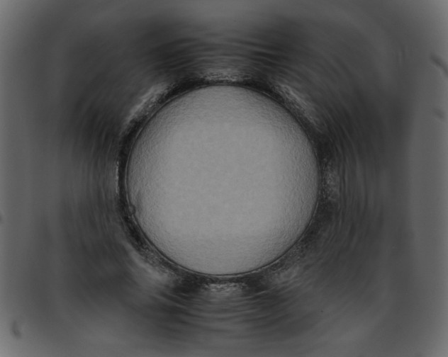 X0000095670686200801221205