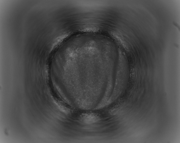 X0000095670688200801221204