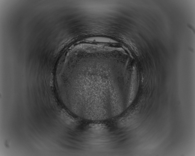 X0000095670689200801221204