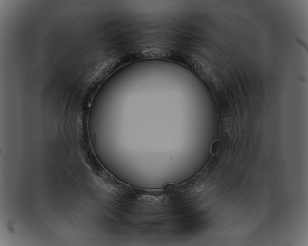 X0000095670690200801221204