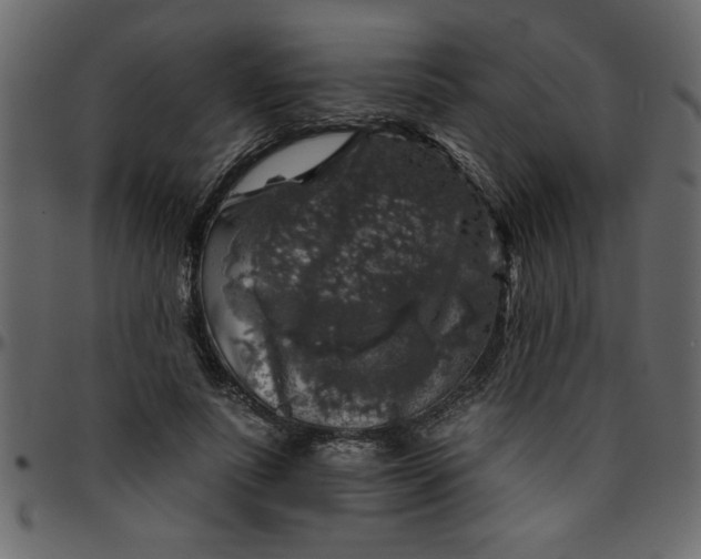 X0000095670691200801221204