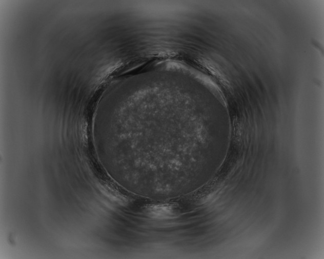 X0000095670692200801221204