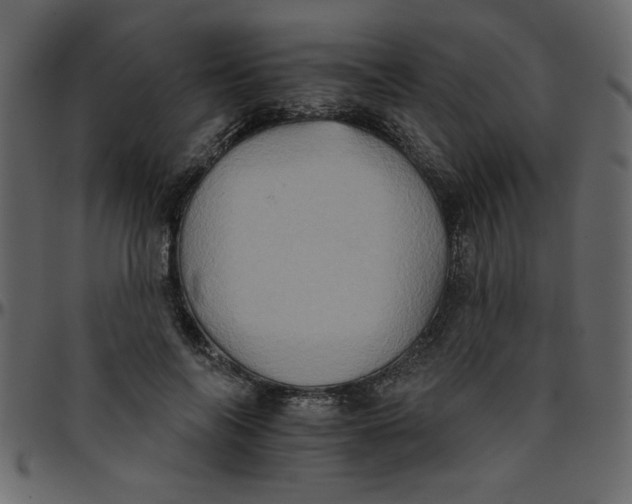 X0000095670694200801221204