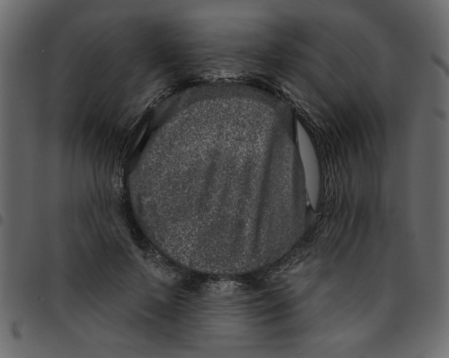 X0000095670695200801221204