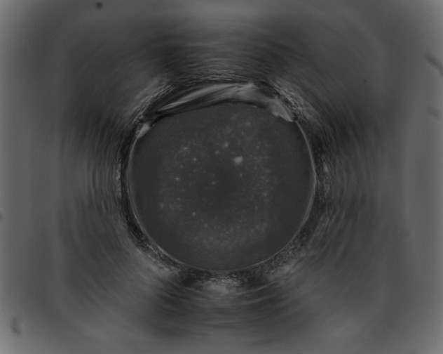 X0000095670696200801221204