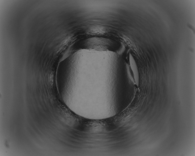 X0000095670697200801221204