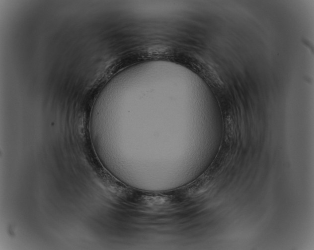 X0000095670698200801221204