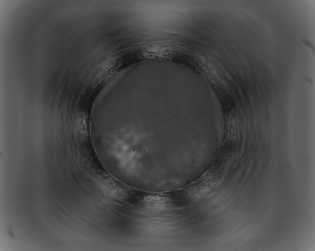 X0000095670699200801221204