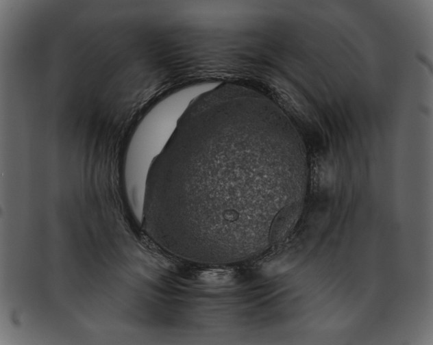 X0000095670700200801221204