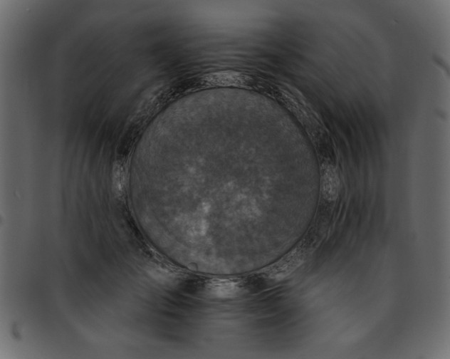 X0000095670701200801221204