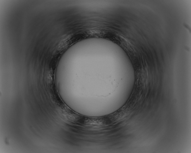 X0000095670702200801221204