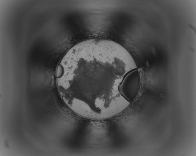 X0000095670703200801221204