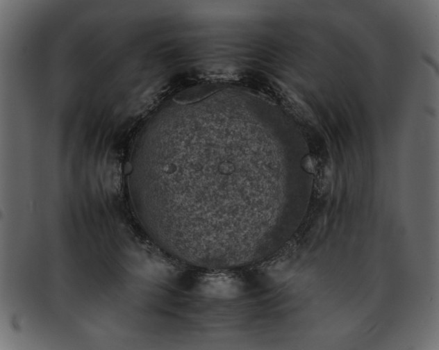 X0000095670704200801221204