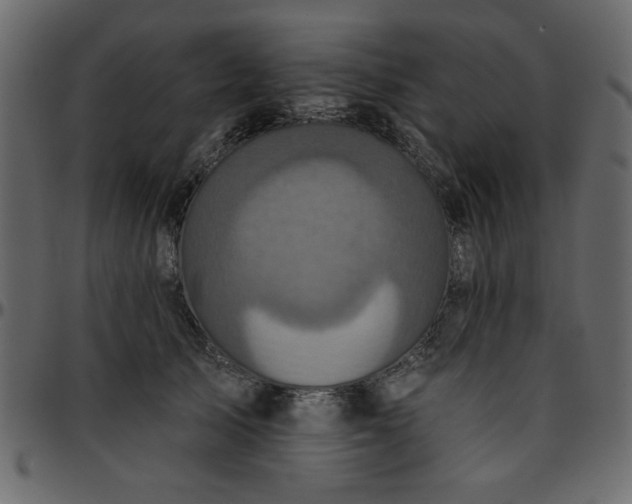 X0000095670705200801221204