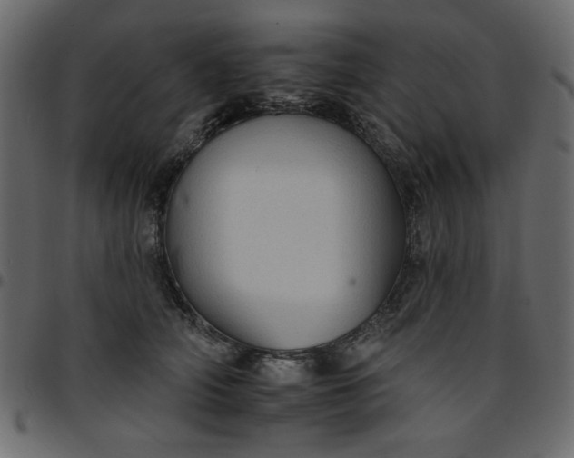 X0000095670706200801221204