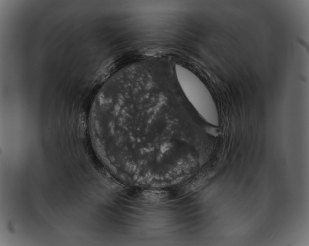 X0000095670707200801221204