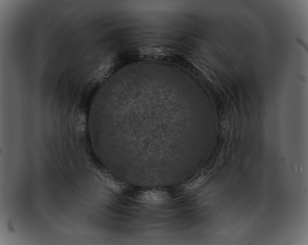 X0000095670708200801221204