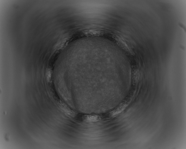 X0000095670709200801221204