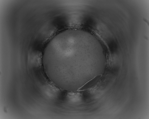 X0000095670712200801221204