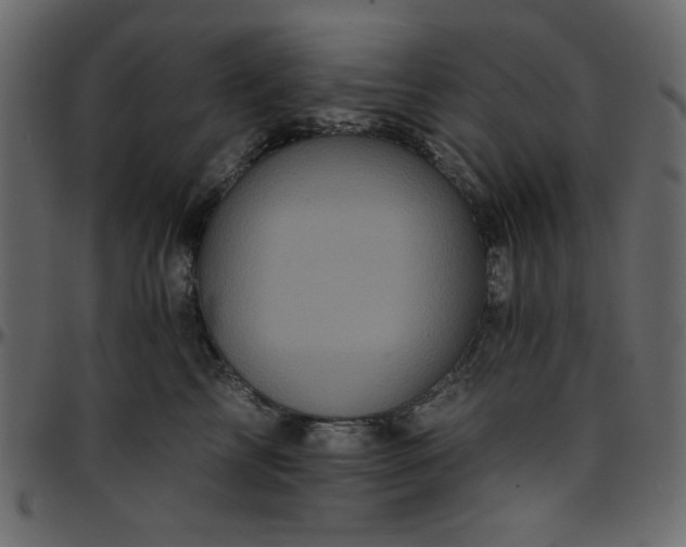 X0000095670713200801221204