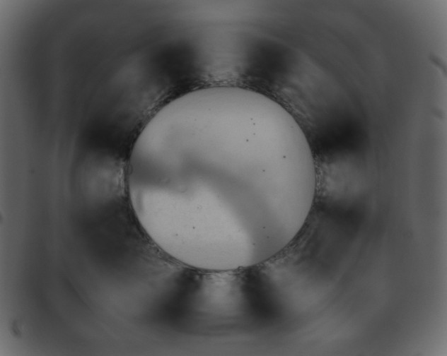 X0000095670717200801221204