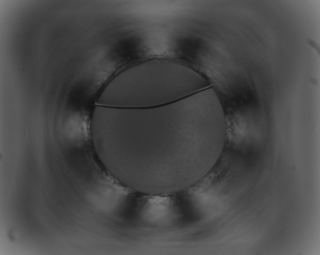 X0000095670718200801221204