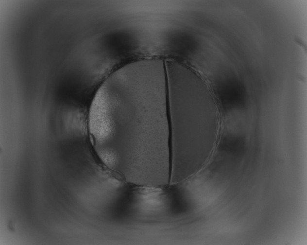 X0000095670719200801221204