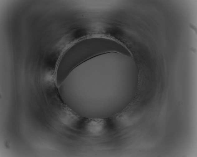 X0000095670720200801221204