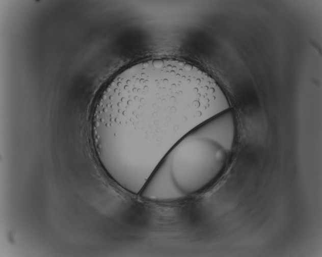 X0000095670721200801221203