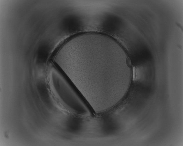 X0000095670723200801221203