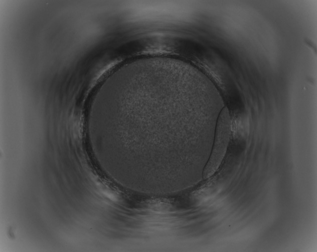 X0000095670724200801221203