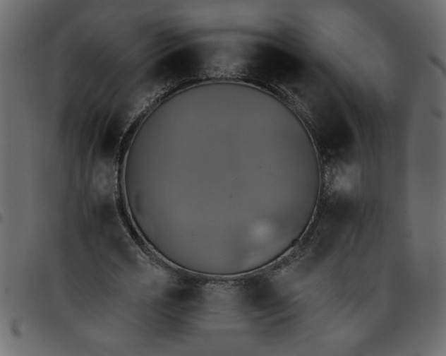 X0000095670725200801221203