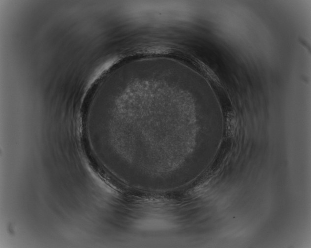 X0000095670726200801221203