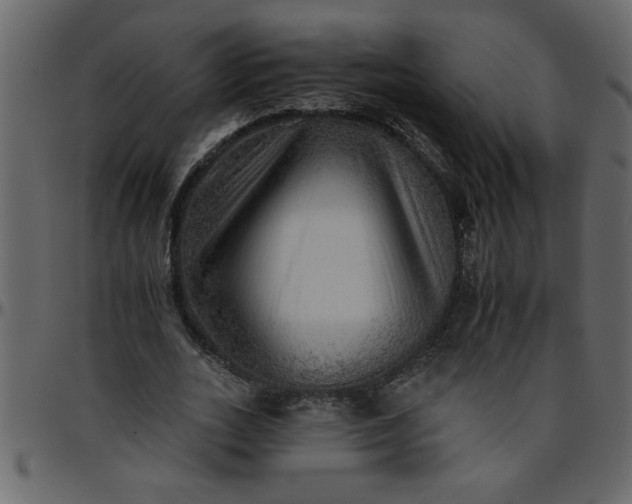 X0000095670727200801221203