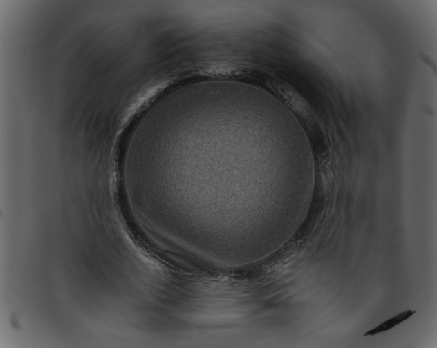 X0000095670728200801221204