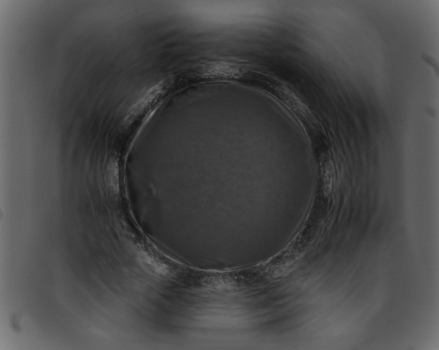 X0000095670729200801221204