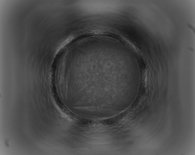 X0000095670730200801221204