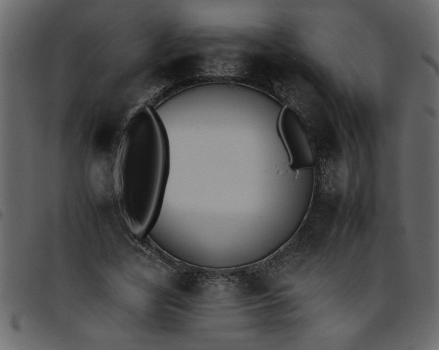 X0000095670731200801221204