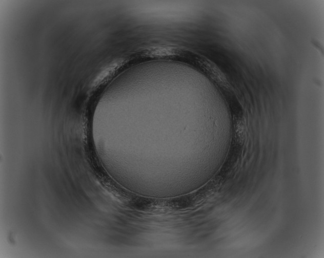 X0000095670732200801221204