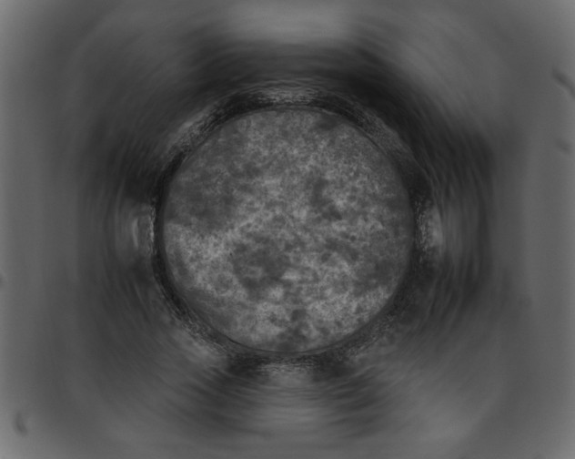 X0000095670733200801221204